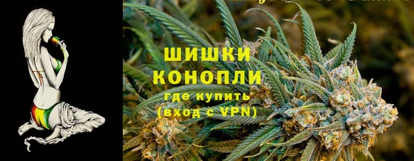 дживик Коряжма