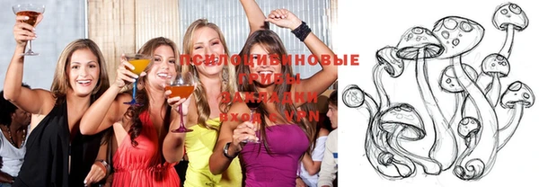 мяу мяу кристалл Корсаков