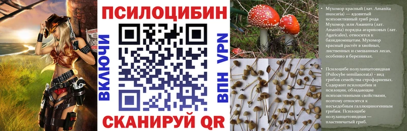Галлюциногенные грибы Psilocybine cubensis  Купить где  Каменка 