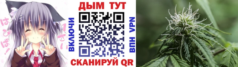 Купить  Каменка  Бошки марихуана SATIVA & INDICA 